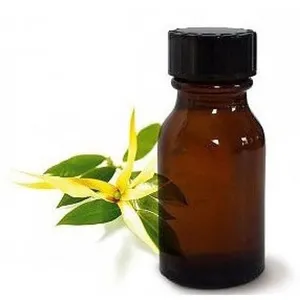 Huile Essentielle Naturelle d'Ylang-Ylang en Gros (OEM) – Qualité Thérapeutique, Huile Aromatique Florale pour Diffuseur, Massage, Soins de la Peau et Croissance Capillaire - Product Image 3