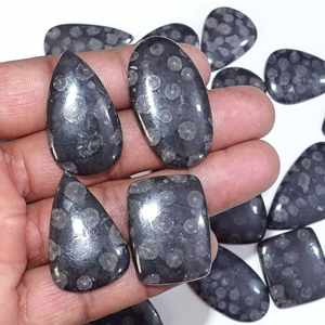 Quartz noir fossile naturel, semi-précieux, cabochon ovale lisse en forme de poire, pierre précieuse non traitée, taille personnalisable, fournisseur - Product Image 6