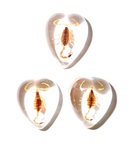 Escorpión Dorado, Espécimen Real, Cabujón de Plástico en Forma de Corazón de 17x21 mm, Base Plana Transparente para Manualidades y Joyería - Product Image 2