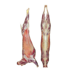 Carcasa de Oveja Halal Certificada para Exportación, Oveja Entera Congelada, Empacada para Venta al por Mayor y Distribución Global - Product Image 6