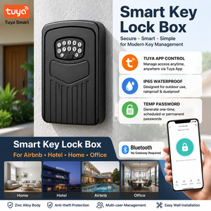 <span class=keywords><strong>Caja</strong></span> de <span class=keywords><strong>Seguridad</strong></span> Inteligente TUYA para <span class=keywords><strong>Llaves</strong></span>, Montada en Pared, IP65 Impermeable, Aleación de Zinc, Bluetooth, <span class=keywords><strong>Caja</strong></span> de <span class=keywords><strong>Seguridad</strong></span> Digital para <span class=keywords><strong>Llaves</strong></span> para <span class=keywords><strong>Airbnb</strong></span>, Hotel, Oficina - Product Image 1