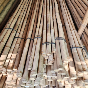 Venta al por Mayor de Estacas/Varas de Bambú Natural Crudo Vietnamita Eco2go, Longitud de 0.5-2m, Diámetro de 10-20mm, Alta Calidad para Construcción - Product Image 1