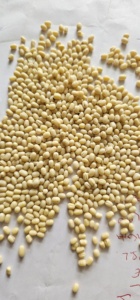 Protéine d'Urad blanche entière indienne séchée, élégante et de qualité supérieure, facile à cuisiner, 30 kg en vrac, nouvelle récolte à prix avantageux - Product Image 2