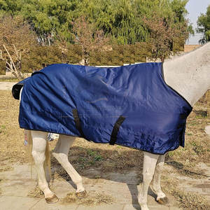 Alfombras para Caballos Hechas en Pakistán, Alfombras Deportivas de Alta Calidad, Alfombras para Caballos de Material Duradero - Product Image 4