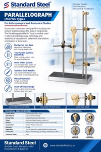 Parallelograph Anthropometrisches Knochenmessgerät mit Gusseisenbasis und Stahl-Parallelstangen für Osteologie und Anatomielabor - Product Image 2