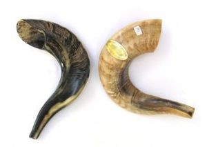 Shofar de cuerno de carnero - Product Image 5