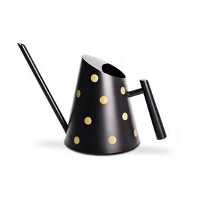 Arrosoir en métal robuste à long bec pour l'entretien des fleurs - Product Image 3