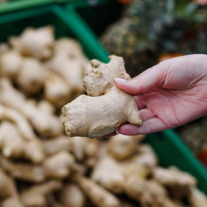 Precio de Raíz de Jengibre Fresca para Exportación al por Mayor en Agricultura - Product Image 3