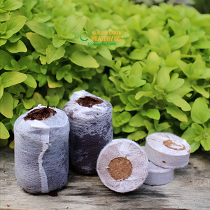Pastilles de coco 35mm 36mm 42mm Plusieurs tailles Fibres de coco compressées Substrat de germination ECO2GO VIETNAM - Product Image 5