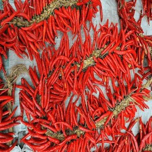 Chiles Rojos Enteros Indios de Alta Calidad de la Nueva Cosecha con un Color Rojo Intenso y Empaque a Granel Confiable - Product Image 6