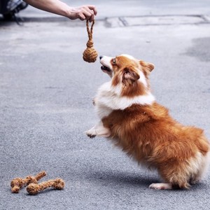 Pelota masticable ecológica para perros, juguete duradero para mascotas con masticación agresiva, proveedor de Vietnam, juguete para perros de fibra de coco - Product Image 5