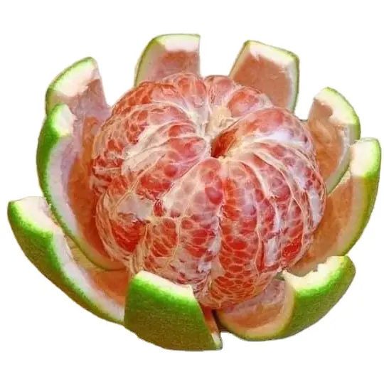 POMELO meyve/turunçgiller/taze meyve ihracatı iyi kalitede-WHATSAPP: + 84 358211696 (Ms. Iris)