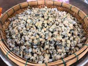 Mejor Precio: Mariscos Vietnamitas Delta, Carne de Almeja Bebé Cocida, Lista para Comer, para Saltear, Sopa, Arroz, envasada al Vacío en Bandeja/Bolsa, 1kg, Congelada - Product Image 6