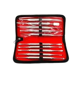 10Pcs Plastic Manual Dental Scalar Kit Dental Set Periosteal Separator Implant Flap Turner Tool Reusable CE ISO By Grip Surgical - Product Image 1