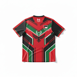 Maillot de foot personnalisé Palestine, tissu performant, maillot de football sublimé, maillot de l'équipe nationale palestinienne pour adulte - Product Image 2