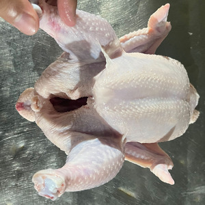 Poulet Halal <span class=keywords><strong>Entier</strong></span> Congelé, Paquet Familial-Facile à Cuisiner, Polyvalent - Product Image 1