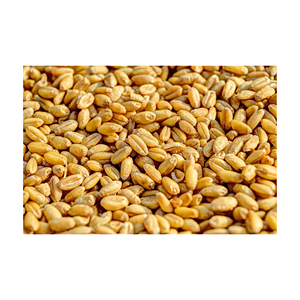 Listo para Enviar, Venta al por Mayor de Granos de Trigo Blando Premium, Suministro a Granel, Grado Alimenticio, Producto de Exportación de Alta Calidad - Product Image 6