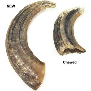 อาหารสุนัขทำจากเขาควายแท้เคี้ยวอาหารสุนัขคุณภาพมาตรฐาน - Product Image 4