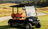 Carrito de Golf Utilitario de 4 Asientos A617.4, Vehículo Práctico para Carga Ligera