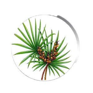 Palmetto berry özü Palmetto özü 25% 45% yağ asitleri gördüm