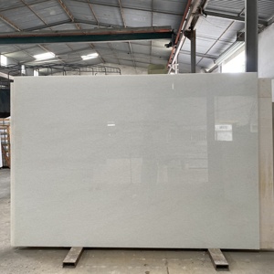 Loseta de Travertino Blanco Vietnamita Son Code W10, Pulida, de Lujo, Moderna, Impermeable, Diseño Gráfico, 24x24, para Interiores, con Garantía de Más de 5 Años, para Villas - Product Image 5