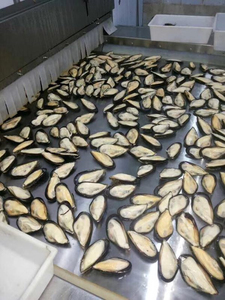 เนื้อหอยแมลงภู่แช่แข็งคุณภาพพรีเมียม จำหน่ายส่ง ปริมาณมาก เกรดอาหาร พร้อมส่ง ผู้จัดจำหน่ายที่เชื่อถือได้สำหรับการส่งออก - Product Image 2