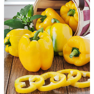 พริกหยวกเหลืองสด เกรดพรีเมียม เนื้อกรอบ รสหวานธรรมชาติ - Product Image 1