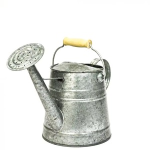 Arrosoir en métal galvanisé avec long bec verseur et poignée en bois, durable pour le jardinage, nouvelle arrivée - Product Image 1