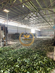 Vietnam High Quality Wholesale Single Spices Herbs Dried Raw Cassia Cinnamon Leaf 100% Natural Cheap Price Takimex Model Jenny - Product Image 4