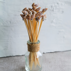 ของตกแต่งชายหาดสุดฮิต ไม้เสียบอาหารเปลือกหอย ไม้เสียบค็อกเทล ของว่าง - Product Image 6
