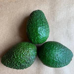 Avocats Hass frais en gros, qualité supérieure - Grade A, fruits tropicaux naturels pour l'exportation mondiale et les commandes en gros - Product Image 5