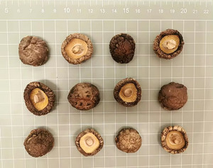 HIGH QUALITY Vietnam Whole Dried Shiitake Mushroom Air Dried No Preservatives Natural Deep Brown Color HOT SELLING Worldwide - Product Image 1