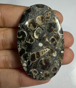 Lote al por mayor de cabujones de ágata TURRITELLA por peso con diferentes formas y tamaños utilizados para la fabricación de joyas, piedra TURRITELLA - Product Image 4