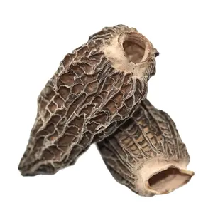 100% Natural Ingredient High Quality Herbal Morchella Esculenta From China