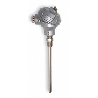 Detektor & Transmitter Suhu 4-20ma Xuner Intelligent Armored, Opsi OEM CU50 RTD Thermocouple IP65, Panjang Dapat Disesuaikan