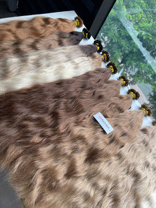 Vente chaude 100% Extensions de cheveux vierges blonds vietnamiens vierges Super Double dessiné dans des extensions de cheveux collées à la kératine - Product Image 6