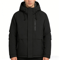 Manteaux en duvet pour hommes, confortables, chauds, décontractés, rembourrés, imperméables, pour le printemps, veste décontractée pour l'extérieur avec fermeture éclair et motif uni