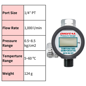 Taiwan a fait 1/4 pouces 120 psi régulateur de pression d'air régulateur d'air avec numérique - Product Image 4