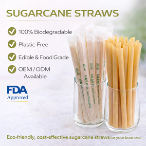 Pailles biodégradables en canne à sucre, pailles en bagasse pour boire - Product Image 1