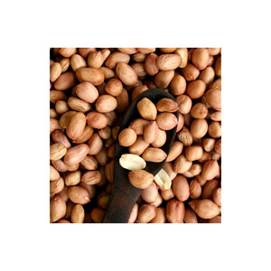Approvisionnement en vrac d'arachides adaptées aux fabricants et exportateurs agroalimentaires - Product Image 6