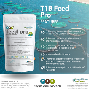 Supplément alimentaire pour crevettes et poissons Probiotiques intestinaux pour l'aquaculture - Product Image 2