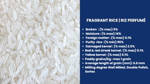 Riz au jasmin du Vietnam Riz parfumé 5% cassé pour la vente en gros et au détail-Marque Vilaconic/Marque OEM-WA: + 84 944500504 - Product Image 4