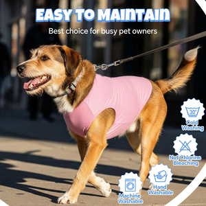 Camiseta Personalizada para Cachorros, Ropa para Perros de Alta Calidad, Chaleco para Mascotas de Tela Suave, Ropa para Gatos de Uso Diario, Prendas Básicas Lisas - Product Image 3