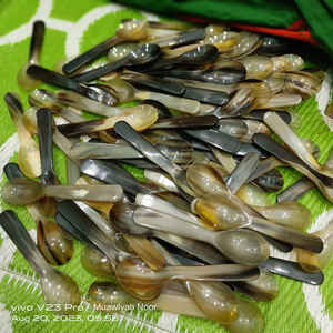 Nouvelle conception 100% meilleure qualité corne de boeuf petite cuillère - Product Image 3