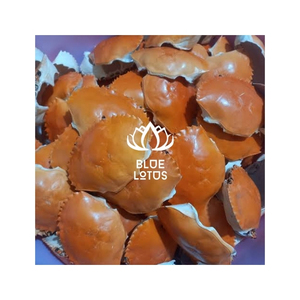 HIGH QUALITY Dried <b>Crab</b> Shell Dried Seafood Byproduct for Restaurant <b>Decoration</b> Culinary Plating and Chitin Manufacturing - Product Image 1