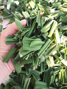 Polvo de Pandan Premium para la Industria Alimentaria |   Extracto puro de Pandan de Vietnam - Product Image 6