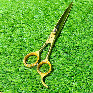 Ciseaux de coiffure professionnels plaqués or en acier inoxydable à pointe fine pour stylistes et coiffeurs - Product Image 1