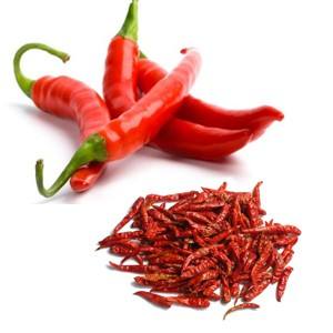 Chiles Frescos al por Mayor – Chiles Rojos de Primera Calidad, Naturales // Mr.Tom - Product Image 2