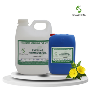 Huile de graines d'onagre en vrac, ingrédient botanique pour les fabricants de produits de soins de la peau, des soins capillaires et des produits de soins personnels - Product Image 3