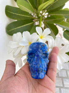 Calavera de Lapislázuli Natural Tallada a Mano |   Escultura de Calavera de Cristal con Gema Azul |   Proveedor Mayorista de Decoración Gótica - Product Image 6